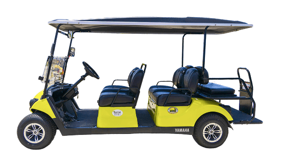 Golf Cart Rentals