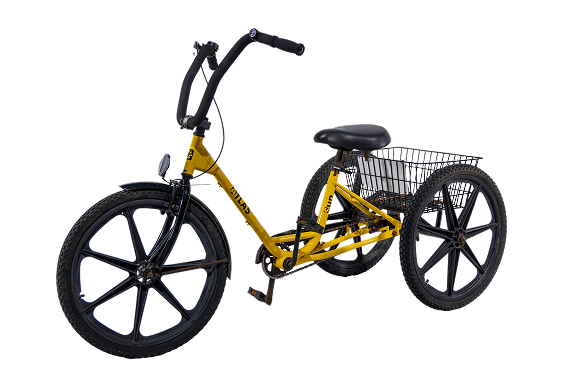 Adult Trikes