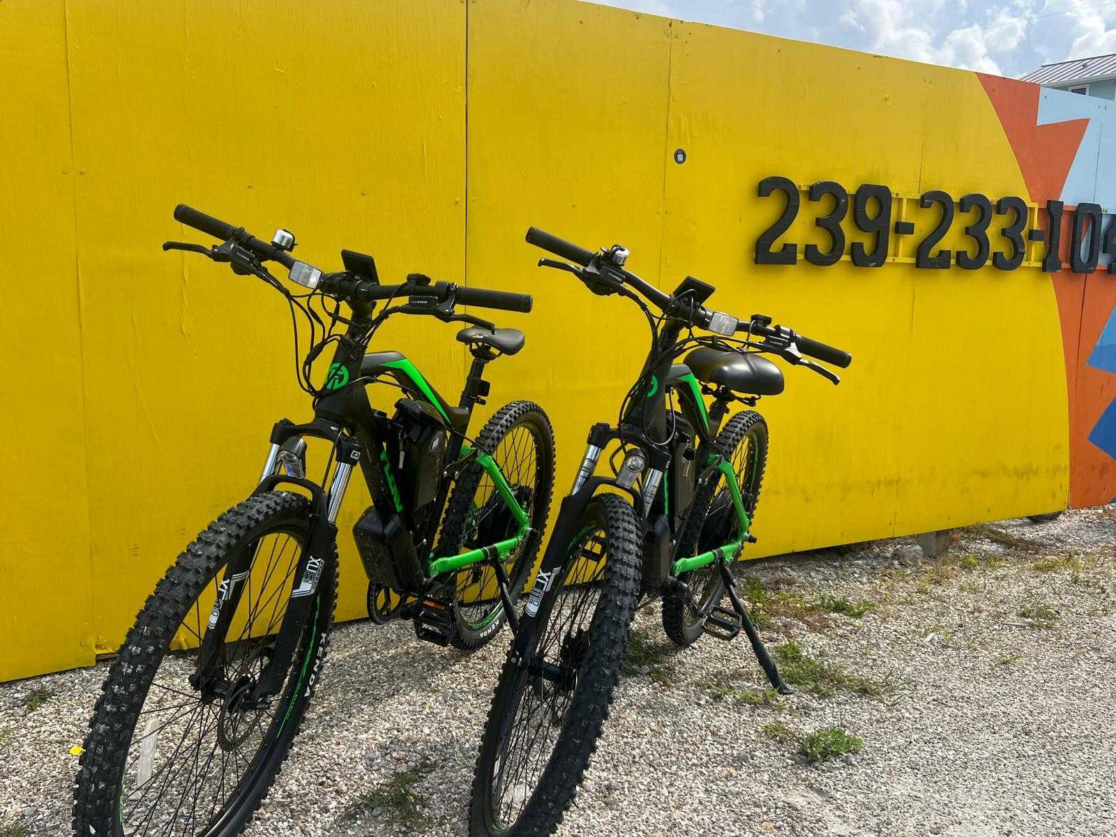 e-Bike with Throttle