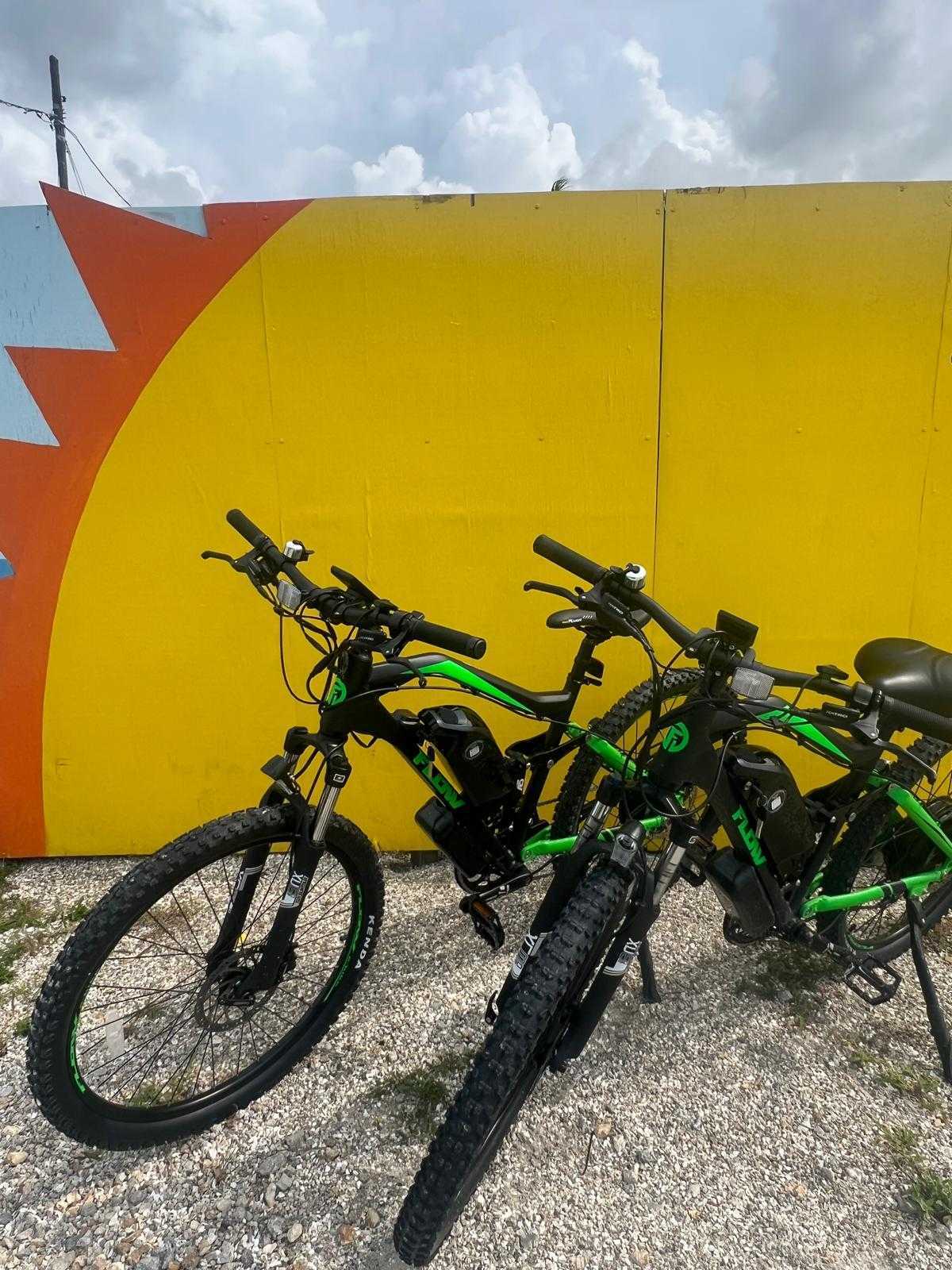 e-Bike with Throttle